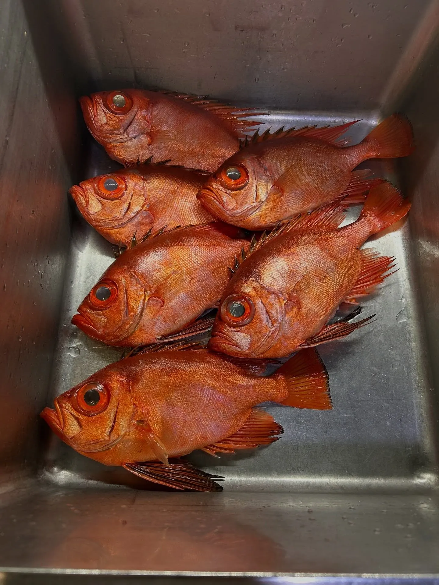 『神楽』で御座います。