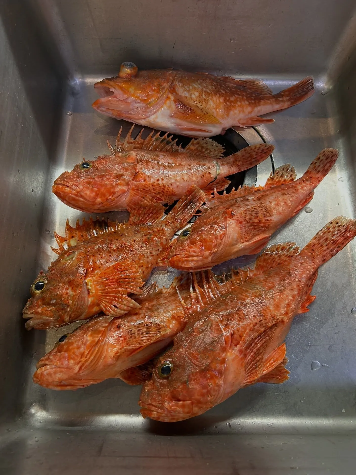 『神楽』で御座います。